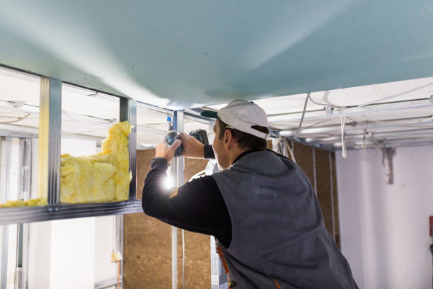 Best Commercial Insulation Contractor  in Dillon, SC
