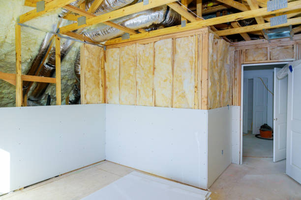 Best Residential Insulation Services  in Dillon, SC