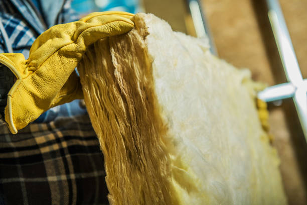 Best Soundproof Insulation Installation  in Dillon, SC