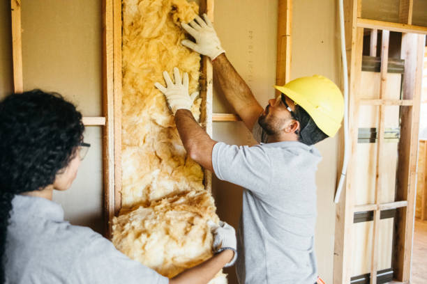 Best Affordable Insulation Services  in Dillon, SC