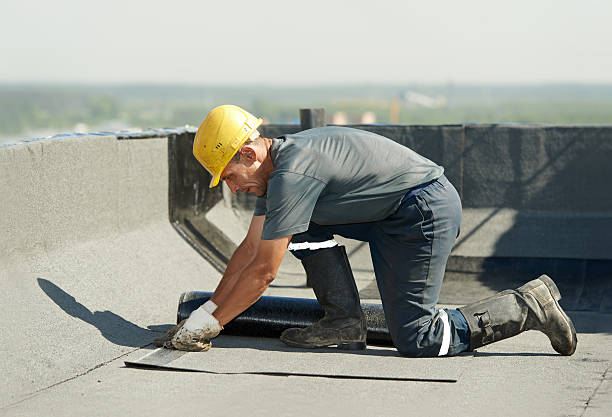 Best Insulation Contractors for Homes  in Dillon, SC
