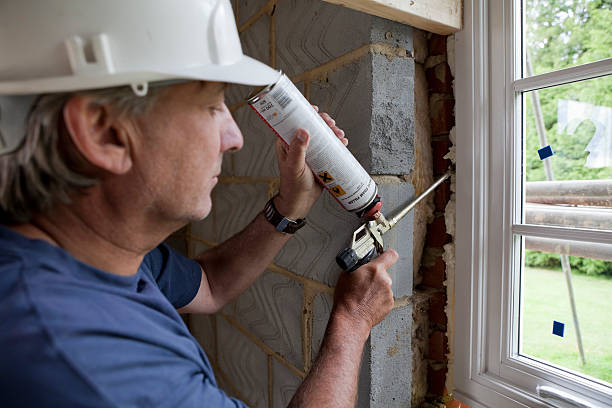 Best Residential Insulation Services  in Dillon, SC