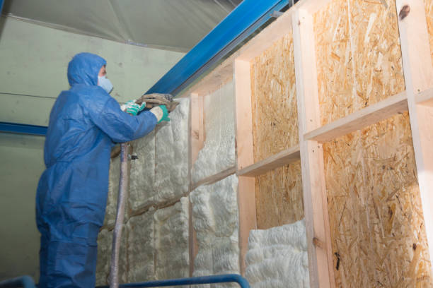 Best Garage Insulation Installation  in Dillon, SC